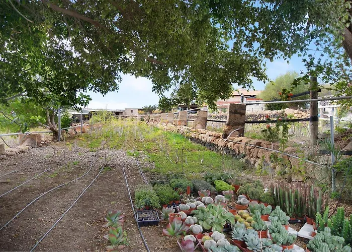 דירה Casa Killa *